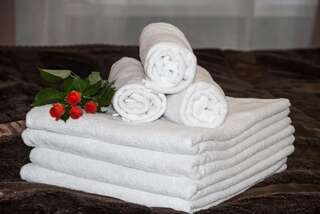 Апартаменты Гранд на Татарском Санкт-Петербург Двухместный номер с 1 кроватью или 2 отдельными кроватями и хорошим видом-14